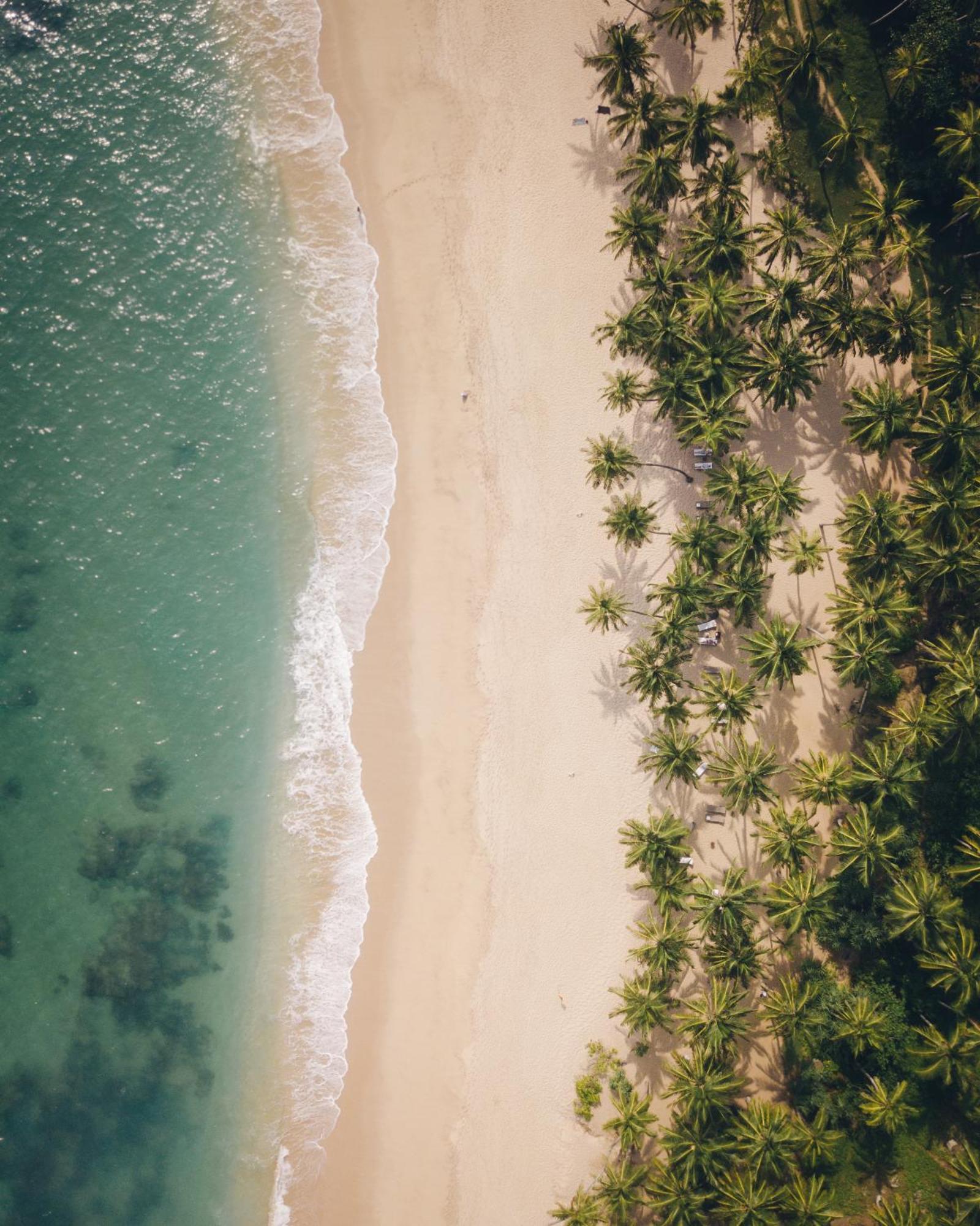 Nyne Hotels The Muse, Bentota Luaran gambar